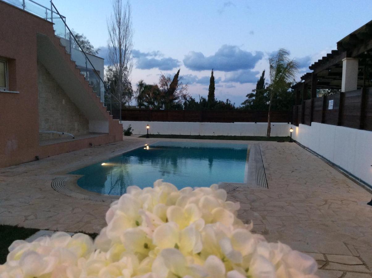 Dream House Latchi Villa Polis Exterior photo